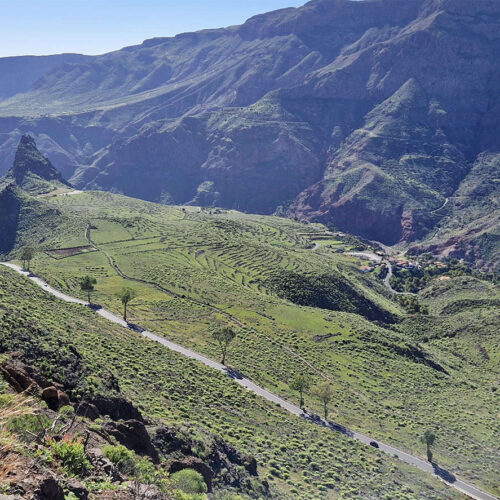 gran canaria galeria (1)