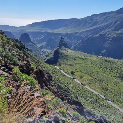 gran canaria galeria (11)