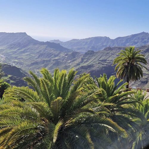 gran canaria galeria (12)