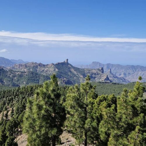 gran canaria galeria (14)