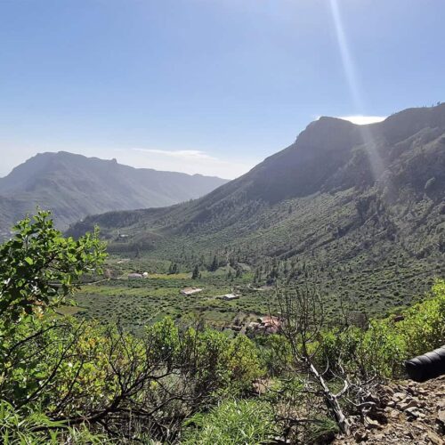 gran canaria galeria (18)