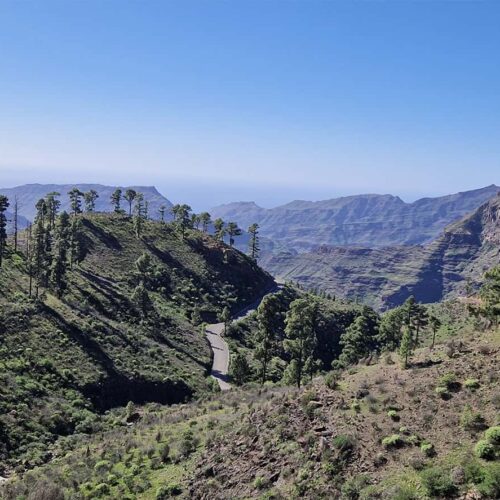 gran canaria galeria (23)