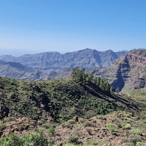 gran canaria galeria (24)