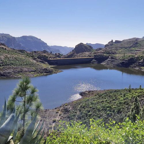 gran canaria galeria (25)