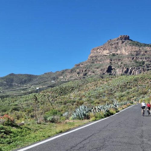 gran canaria galeria (4)