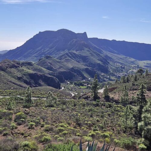 gran canaria galeria (5)