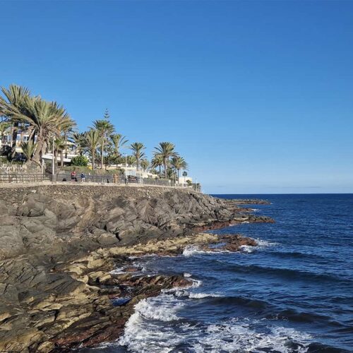 gran canaria galeria (8)