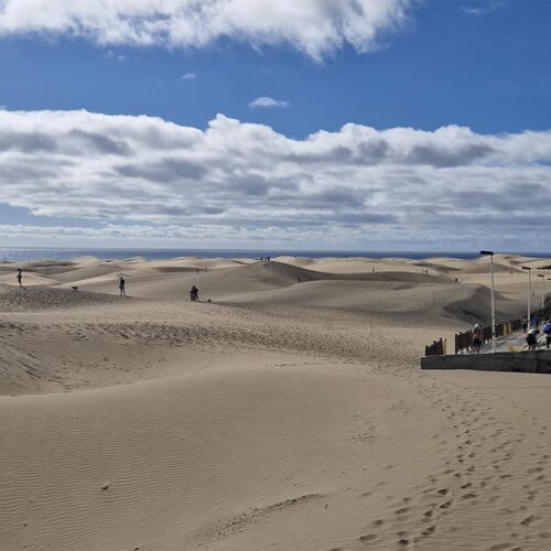 gran canaria galeria (9)