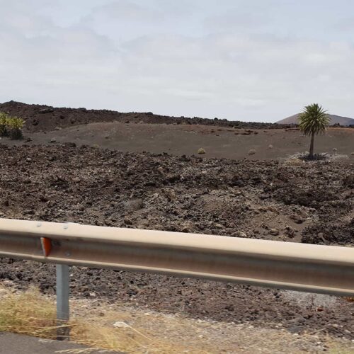 lanzarotte galeria 11