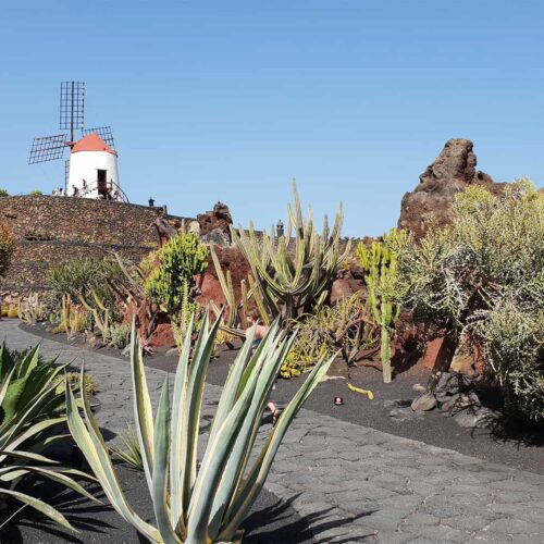 lanzarotte galeria (15)