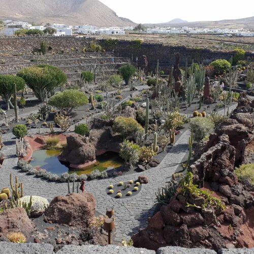 lanzarotte galeria (16)