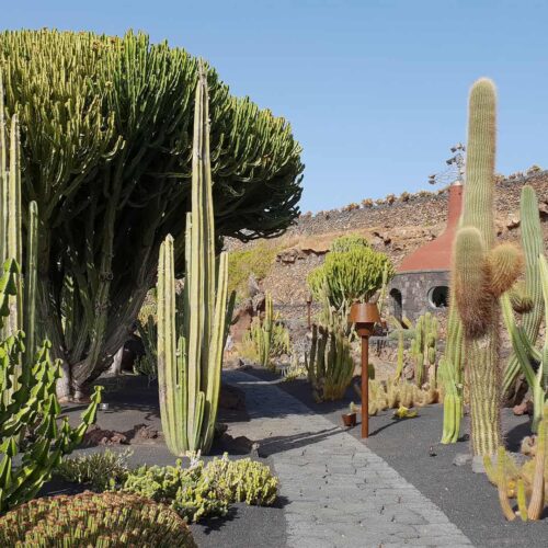 lanzarotte galeria (17)