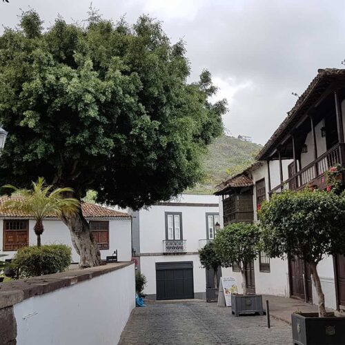 teneryfa galeria (12)