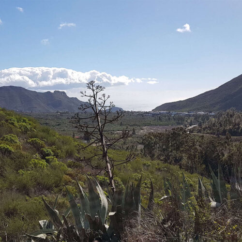 teneryfa galeria (20)