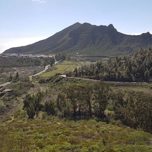 teneryfa galeria (21)