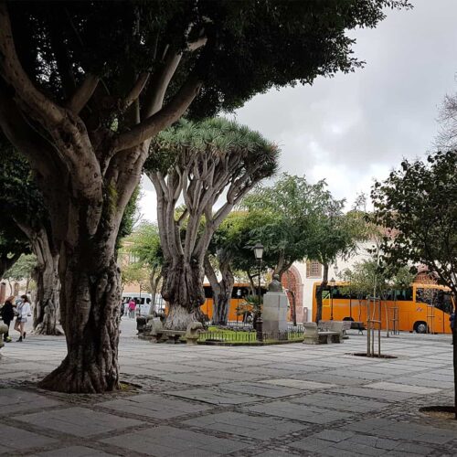 teneryfa galeria (3)