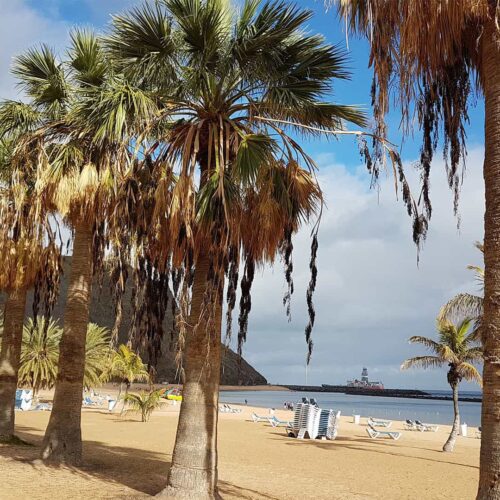 teneryfa galeria (5)